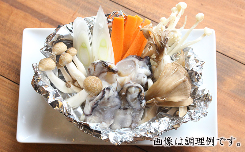 牡蠣 冷凍 珠氷 1kg MSC認証 マルト水産 岡山県虫明産 岡山 虫明 かき（中粒） 