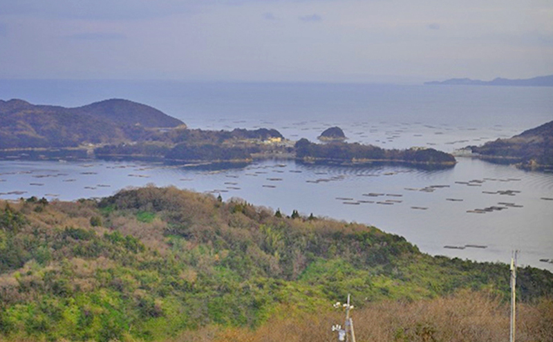 牡蠣 冷凍 珠氷 1kg MSC認証 マルト水産 岡山県虫明産 岡山 虫明 かき（中粒） 