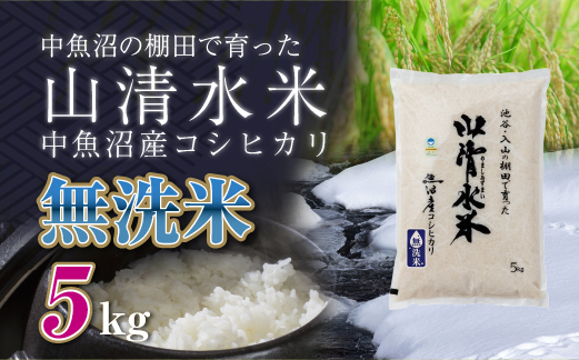 新潟県魚沼産コシヒカリ「山清水米」無洗米5kg 