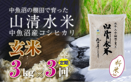 【定期便／全3回】玄米3kg 新潟県魚沼産コシヒカリ「山清水米」 