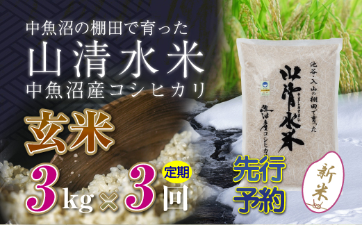 世界で唯一!着る山菜!!【山菜図鑑パーカー・アッシュ】裏起毛