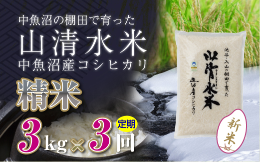 【定期便／全3回】精米3kg 新潟県魚沼産コシヒカリ「山清水米」 