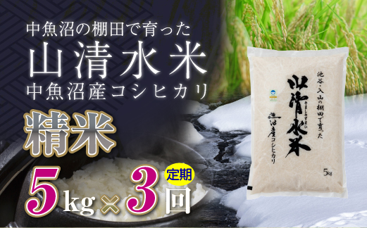 【定期便／全3回】精米5kg 新潟県魚沼産コシヒカリ「山清水米」 