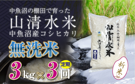 【定期便／全3回】無洗米3kg 新潟県魚沼産コシヒカリ「山清水米」 