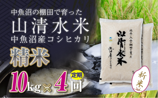 【定期便／全4回】精米10kg 新潟県魚沼産コシヒカリ「山清水米」 