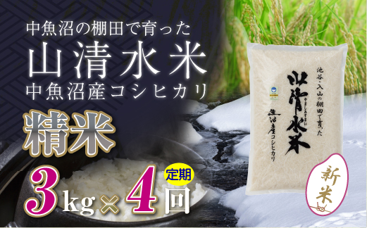 【定期便／全4回】精米3kg 新潟県魚沼産コシヒカリ「山清水米」 