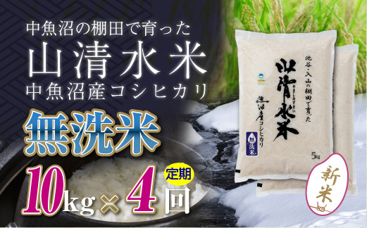 【定期便／全4回】無洗米10kg 新潟県魚沼産コシヒカリ「山清水米」 