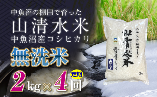 【定期便／全4回】無洗米2kg 新潟県魚沼産コシヒカリ「山清水米」 