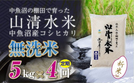 【定期便／全4回】無洗米5kg 新潟県魚沼産コシヒカリ「山清水米」 