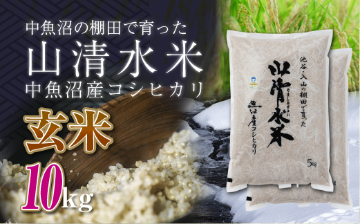 新潟県魚沼産コシヒカリ「山清水米」玄米10kg 