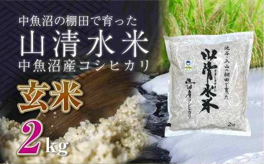 新潟県魚沼産コシヒカリ「山清水米」玄米2kg 