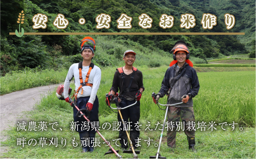 新潟県魚沼産コシヒカリ「山清水米」精米3kg 