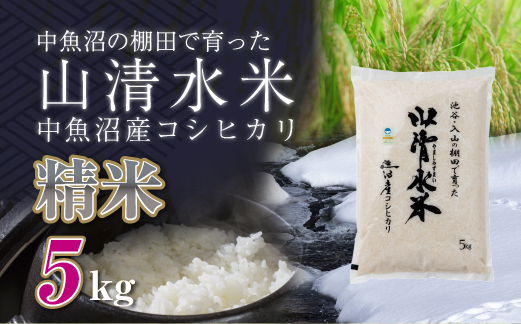 新潟県魚沼産コシヒカリ「山清水米」精米5kg 