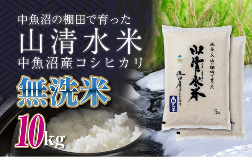 新潟県魚沼産コシヒカリ「山清水米」無洗米10kg 