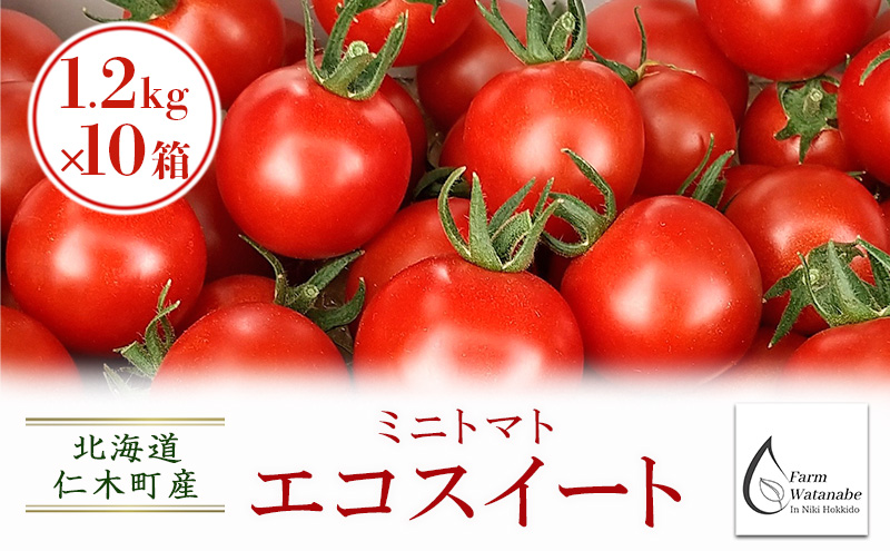 �y�k�C���m�ؒ��z[��s��t/2026�N�Y][�͔|���Ԓ� �_��E���w�엿�s�g�p] �k�C�� �m�ؒ��Y �~�j�g�}�g �G�R�X�C�[�g 1.2kg×10�� �T�C�Y���� �g�}�g��� �₳��  [Farm Watanabe]