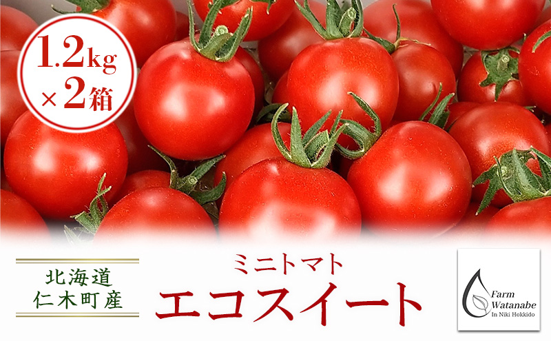 [先行受付/2026年産][栽培期間中 農薬・化学肥料不使用] 北海道 仁木町産 ミニトマト エコスイート 1.2kg×2箱 サイズ混載 トマト野菜 やさい  [Farm Watanabe]