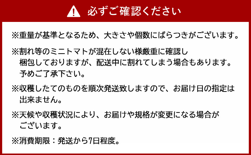 [先行受付/2026年産][栽培期間中 農薬・化学肥料不使用] 北海道 仁木町産 ミニトマト エコスイート 1.2kg×2箱 サイズ混載 トマト野菜 やさい  [Farm Watanabe]