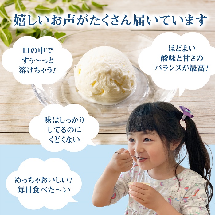 北海道中標津町のふるさと納税 【無添加】北海道 フローズンヨーグルト×6個【11038】