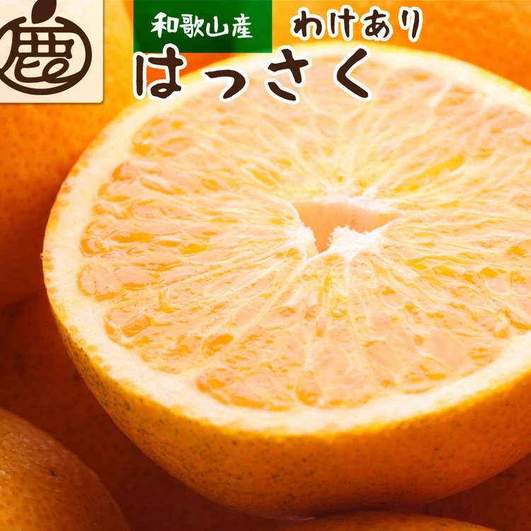 ＜1月より発送＞家庭用 はっさく2.5kg+250g（傷み補償分） ｜ 八朔みかん わけあり 訳あり ワケアリ ※2026年1月上旬～3月下旬頃に順次発送予定 ※北海道・沖縄・離島への配送不可 ◇
