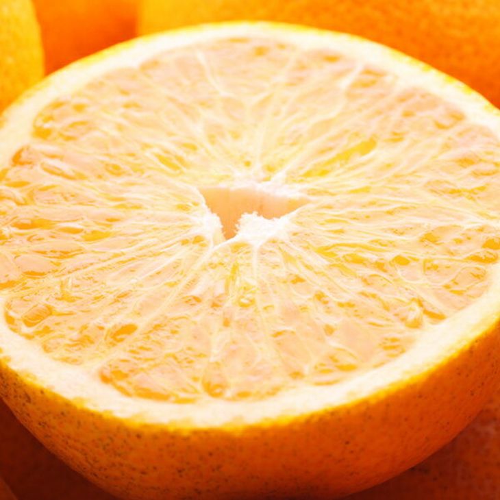 ＜4月より発送＞家庭用 樹上完熟はっさく5kg+250g（傷み補償分）【有田の春みかん・五月八朔・さつきはっさく・木生りはっさく・きなりはっさく】【光センサー選別】訳あり・わけあり