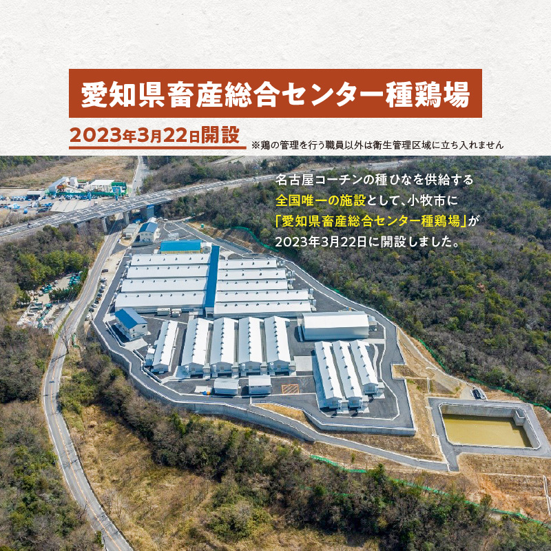 愛知県小牧市のふるさと納税 名古屋コーチン焼鳥　5種20本セット（もも・むね・手羽中・皮・つくね）[001T02]