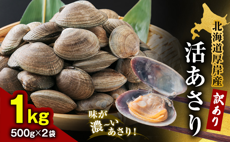 ykCݒzkC ݎY 󂠂  500g×2 (v1kg) AT L CN 嗱  h{ | o  ① Ⓚۑ\ ֗