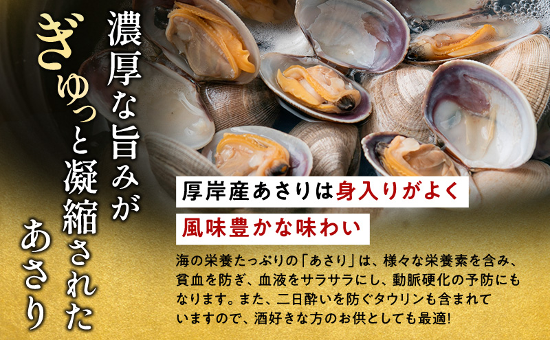 北海道 厚岸産 訳あり 活あさり 500g×2 (合計1kg) アサリ 魚貝 海鮮 大粒 美味しい 栄養 旨み 砂出し 水洗い 冷蔵 冷凍保存可能 便利 