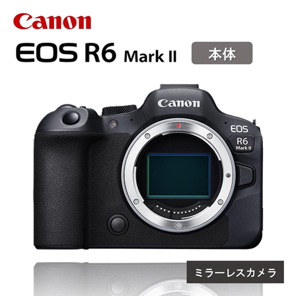 [Canon] キヤノン ミラーレス カメラ EOS R6 Mark2 ボディ キャノン 一眼 家電_0036C