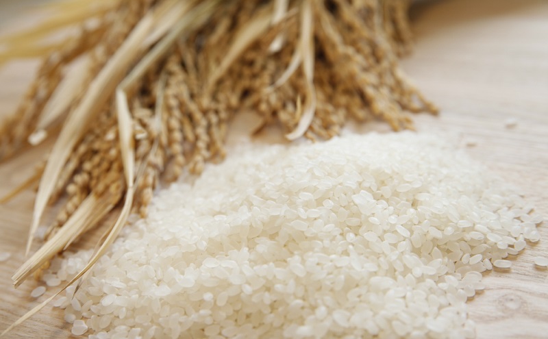 【令和7年産】魚沼産コシヒカリ 5kg×全6回 お米 米 コメ 