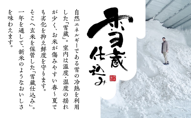 【令和7年産】魚沼産コシヒカリ 無洗米 2kg×全12回 お米 コメ 