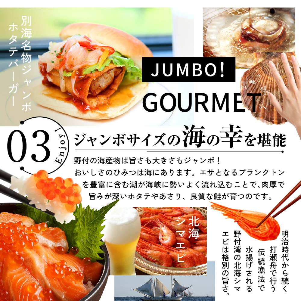 北海道別海町のふるさと納税 ひがし北海道 別海町の旅（羽田発着 ANA往復 航空券 + 別海町 宿泊 1泊 + レンタカー 北海道 旅行 旅行券 ホテル 旅館 宿泊券 ）