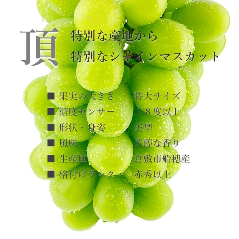 ぶどう 2026年度分 先行予約 【プレミアムシャインマスカット 晴王 1房 約600g】船穂産　赤秀品以上  岡山県産 葡萄 ブドウ ギフト ハレノフルーツ 皮ごと食べる みずみずしい 