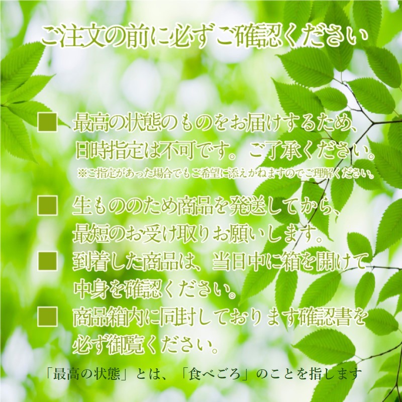 ぶどう 2026年度分 先行予約 【プレミアムシャインマスカット 晴王 1房 約650g】船穂産　赤秀品以上  岡山県産 葡萄 ブドウ ギフト ハレノフルーツ 皮ごと食べる みずみずしい 