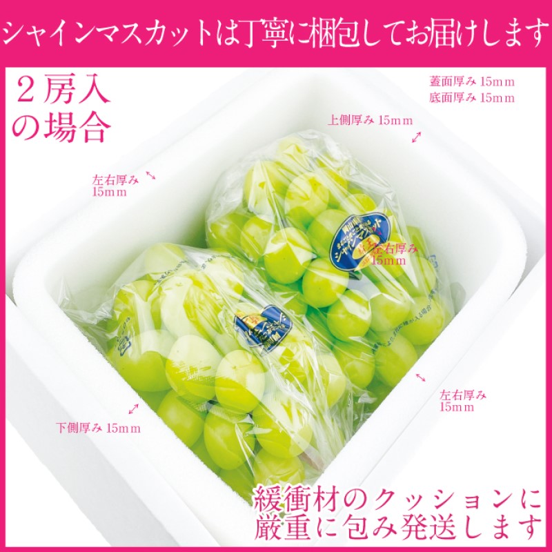 ぶどう 2026年度分 先行予約 【プレミアムシャインマスカット 晴王 2房 約1.2kg】船穂産　赤秀品以上  岡山県産 葡萄 ブドウ ギフト ハレノフルーツ 皮ごと食べる みずみずしい 