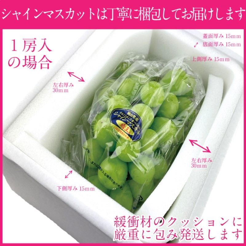 ぶどう 2026年 先行予約 【プレミアムシャインマスカット 晴王 1房 約600g】船穂産 赤秀品以上  岡山県産 葡萄 ブドウ ギフト ハレノフルーツ 皮ごと食べる みずみずしい 