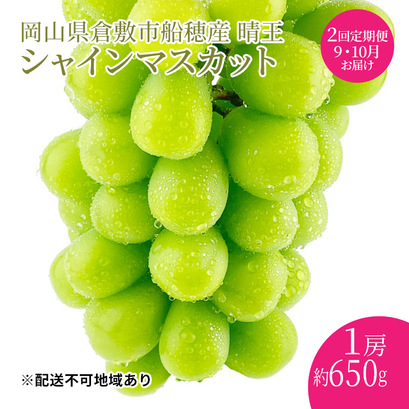 ぶどう 2025年 先行予約 【プレミアムシャインマスカット 晴王 1房 約650g】船穂産 赤秀品以上  定期便 2回 岡山県産 葡萄 ブドウ ギフト ハレノフルーツ 皮ごと食べる みずみずしい 