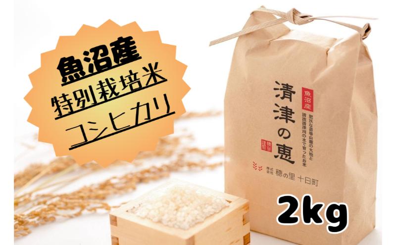 令和7年産魚沼産特別栽培米コシヒカリ［清津の恵］精米2kg（１kgx2袋）