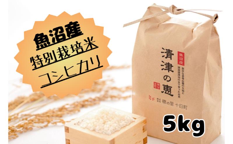 yV\szߘaVNYyPOJnIzYYʍ͔|ăRVqJmÂ̌bn5kg