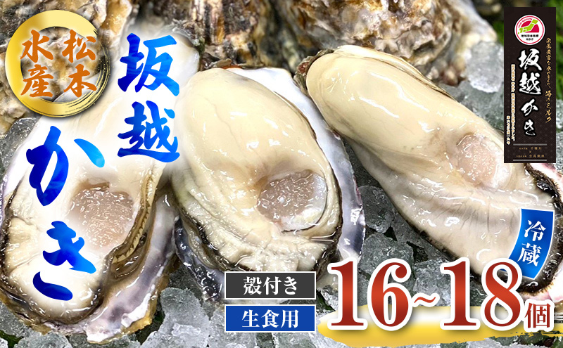牡蠣 生食用 坂越かき 殻付き 16～18個 松本水産 [ 生牡蠣 真