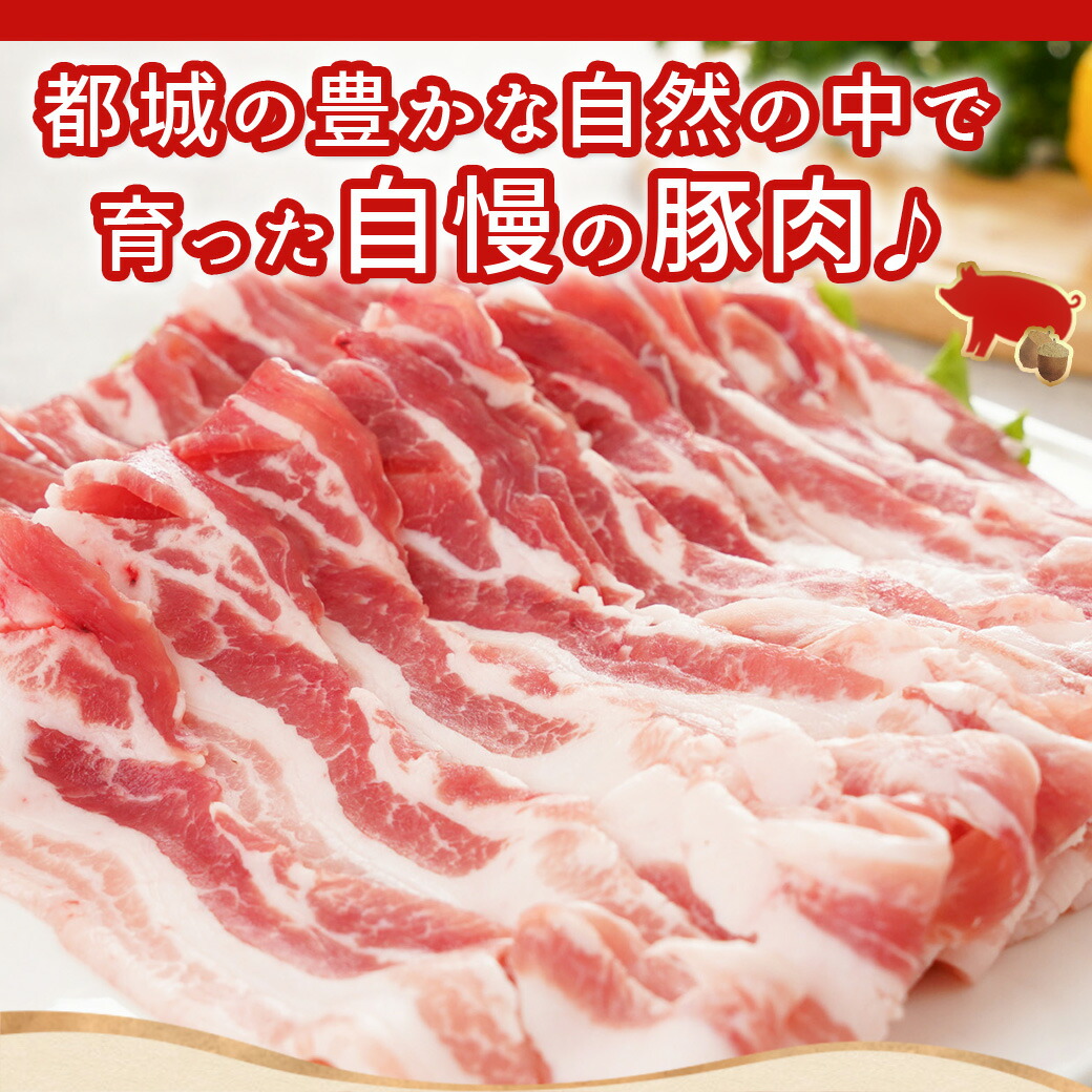 宮崎県都城市のふるさと納税 「どんぐりの恵み豚」バラスライス1.5kg_11-1101