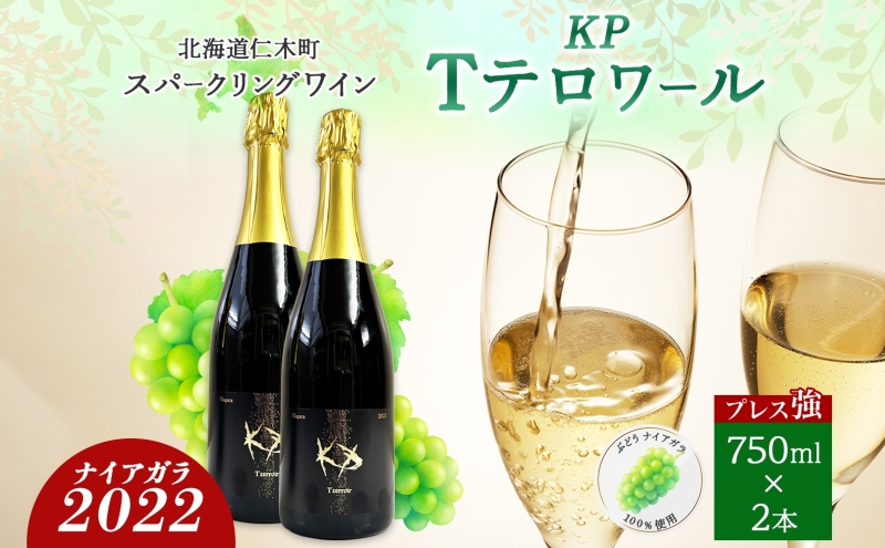 北海道産 スパークリング ワイン 750ml 2本 KPワイン Tテロワール ぶどう ナイアガラ 葡萄 ブドウ 白ワイン 辛口 酒 お酒 贈答 贈り物 お祝い ギフト 記念日 送料無料 