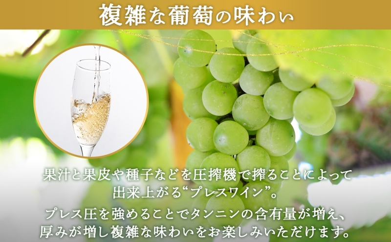 北海道産 スパークリング ワイン 750ml 2本 KPワイン Tテロワール ぶどう ナイアガラ 葡萄 ブドウ 白ワイン 辛口 酒 お酒 贈答 贈り物 お祝い ギフト 記念日 送料無料 