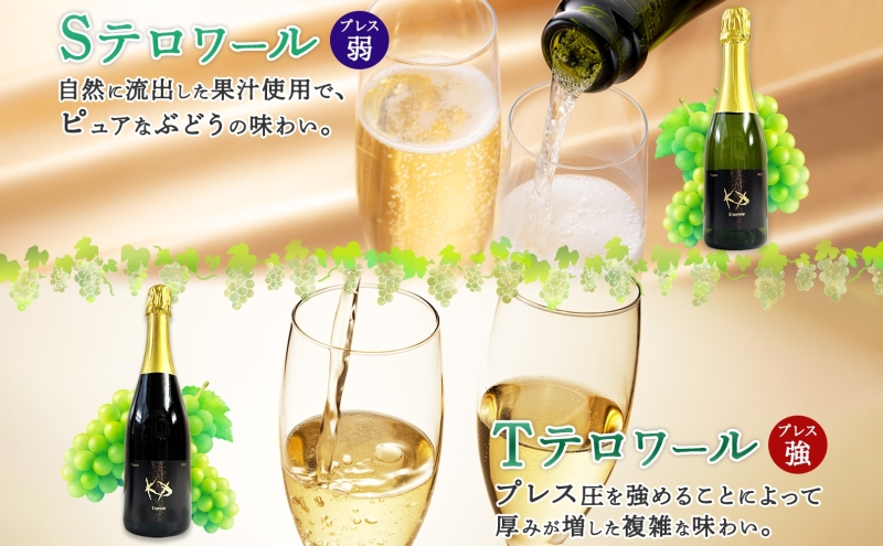 北海道産 スパークリング ワイン 750ml 各1本 KPワイン T S テロワール ぶどう ナイアガラ 葡萄 ブドウ 白ワイン 辛口 酒 お酒 贈答 贈り物 お祝い ギフト 記念日 送料無料 
