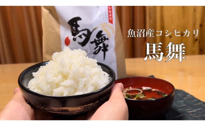 魚沼産コシヒカリ「馬舞」定期便 白米5kg×6ヶ月 お米 おこめ こめ 精米 こしひかり お楽しみ 新潟 