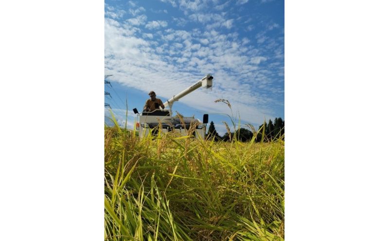 魚沼産コシヒカリ「馬舞」玄米5kg お米 こしひかり 新潟 