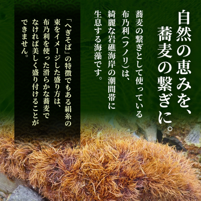 小嶋屋総本店 布乃利へぎそば5把つゆ付 麺類 蕎麦 乾麺 めんつゆ そばつゆ 