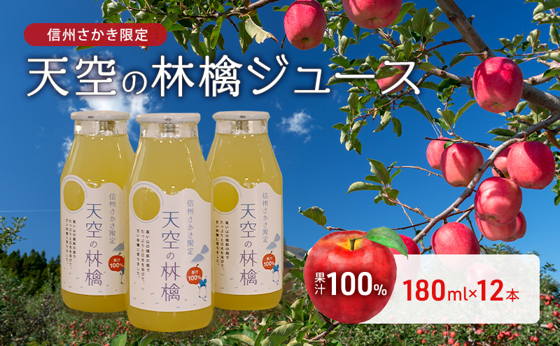 坂城町産りんご「天空の林檎」果汁100%りんごジュース　180ml12本入り 飲料類 果汁飲料 アップルジュース 飲み物 ソフトドリンク 爽やか 