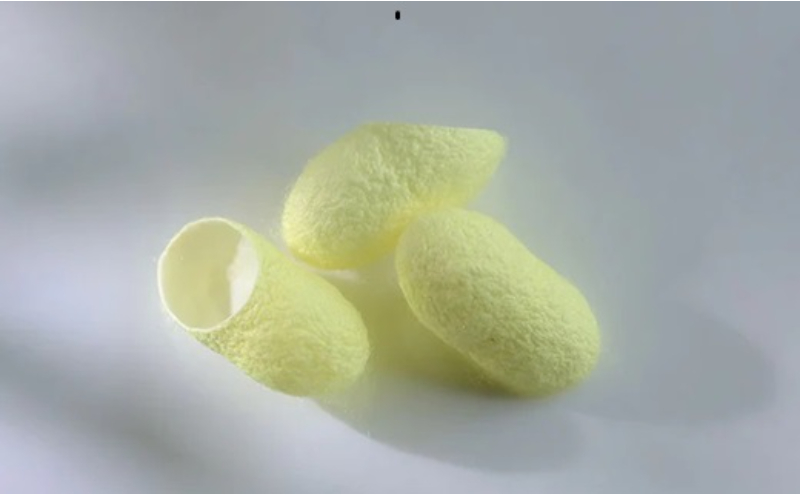 《絹生活研究所》インナー／メンズ／半袖／黒（2サイズ） インナーウェア 下着 肌着 Tシャツ ファッション 服 男性 