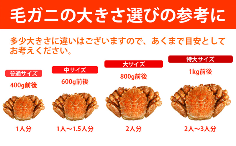 北海道枝幸町のふるさと納税 【漁獲量日本一】至福の逸品！特選冷凍「枝幸毛がに」約570g×2尾【 毛蟹 毛ガニ オホーツク 北海道 加工食品 地域のお礼の品 カタログ 毛ガニ 北海道 オホーツク 枝幸 】