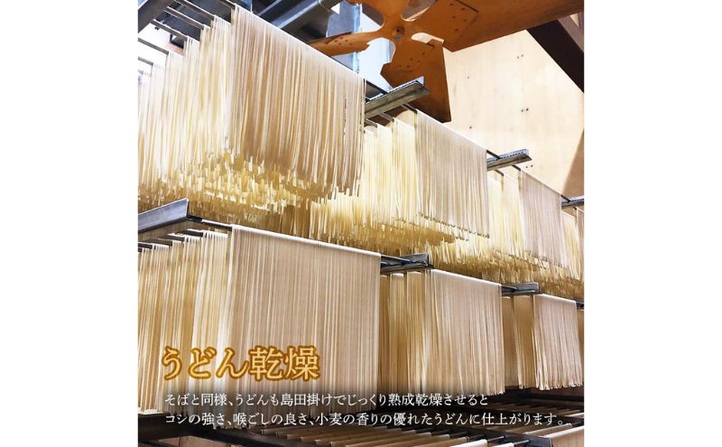波多岐ざるうどん 20把入り 細切り 乾麺 麺 麺類 新潟 
